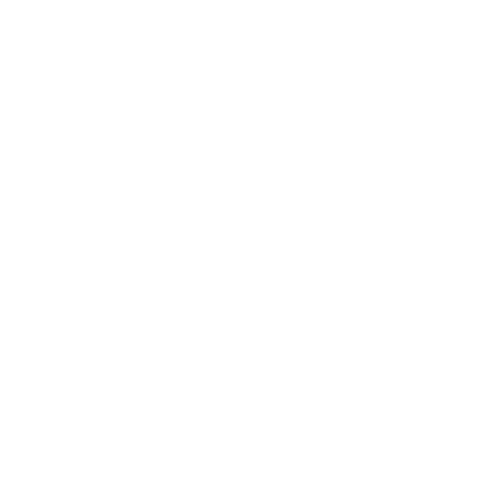 Excellence Hair
